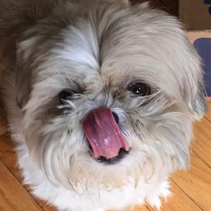 Meet your Posher, Janet